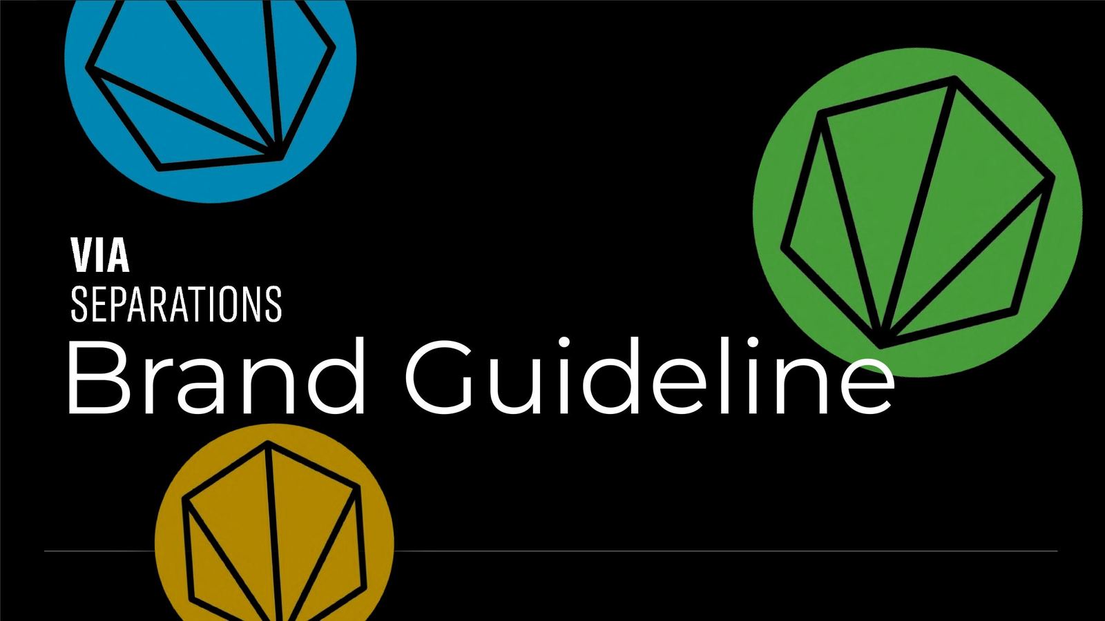 Via Separations Brand Guideline cover